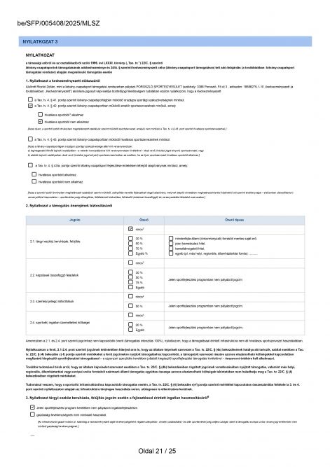 b21.jpg